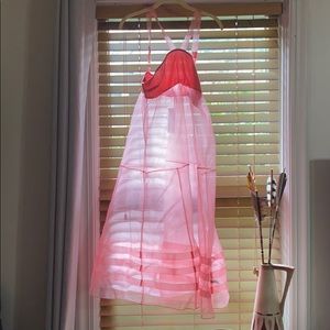 Sheer Pink Dress